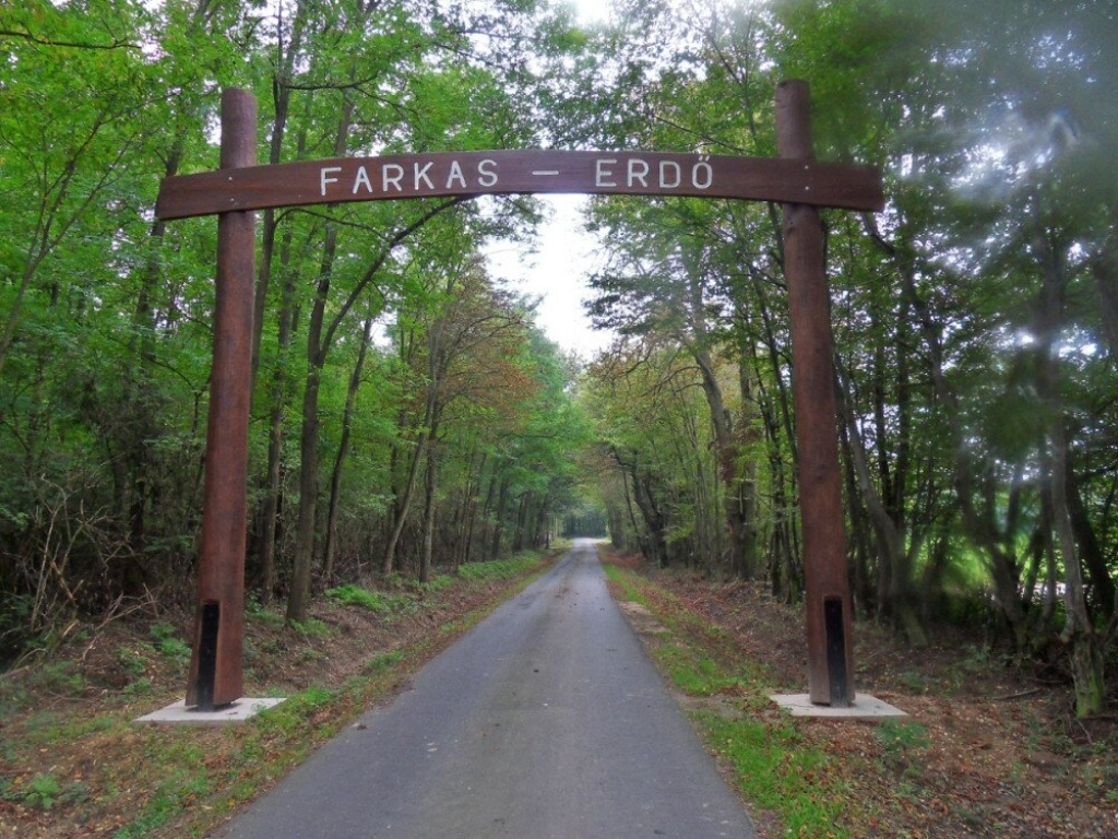 Farkas-erdő